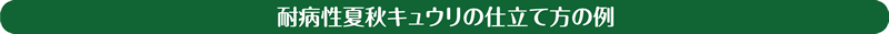 夏秋露地栽培における仕立て方の例