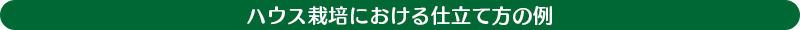 ハウス栽培における仕立て方の例