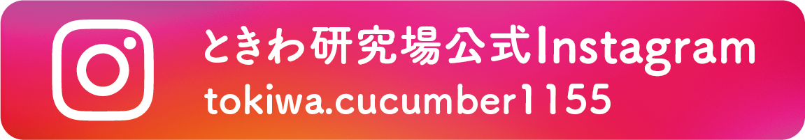 ときわ研究場公式Instagram tokiwa.cucumber1155